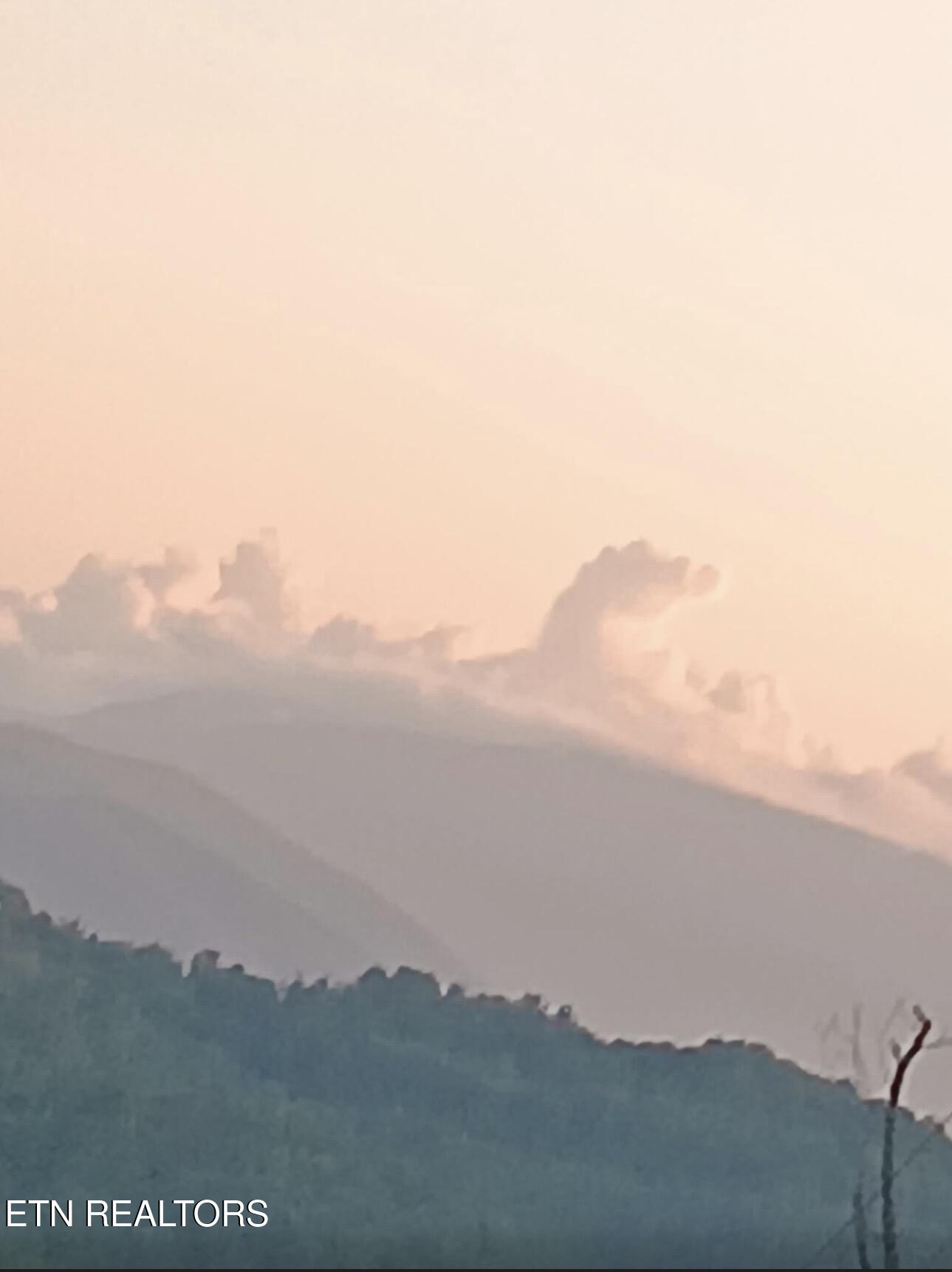 132 Sugar Maple Way Del Rio, TN 37727 - Photo 50 of 58 taken from back of property