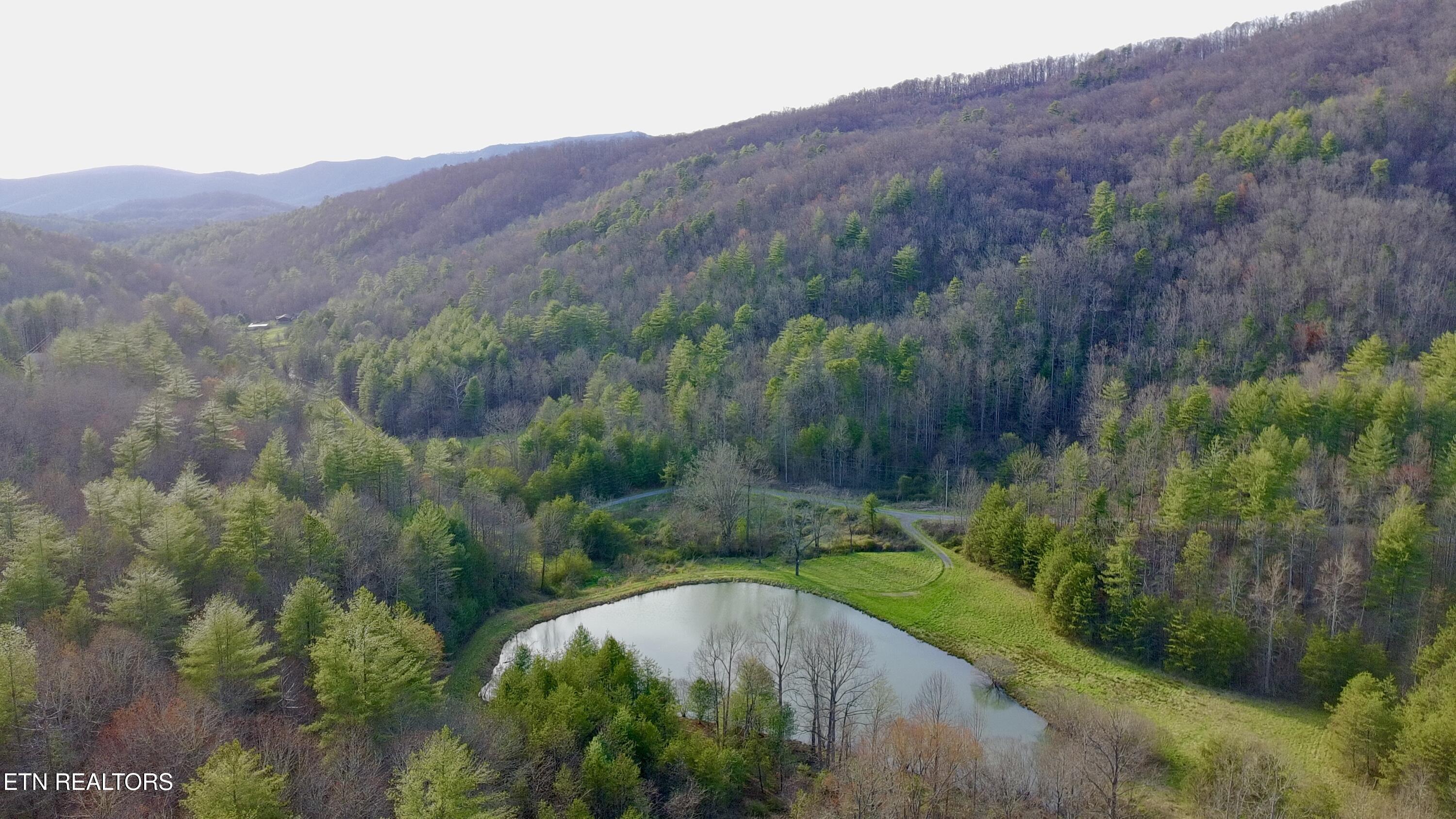 132 Sugar Maple Way Del Rio, TN 37727 - Photo 5 of 58 community pond2