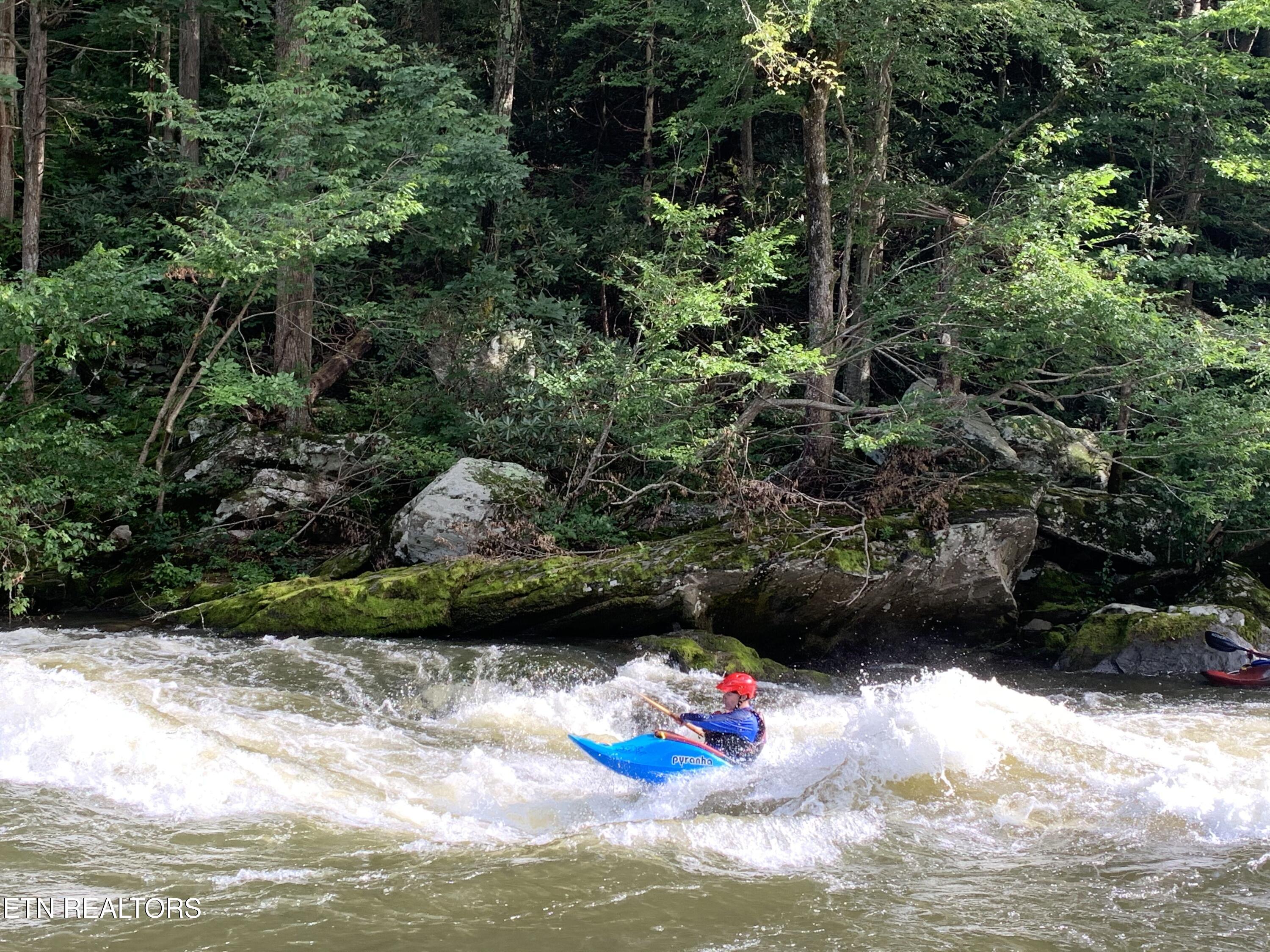 132 Sugar Maple Way Del Rio, TN 37727 - Photo 57 of 58 Pigeon River