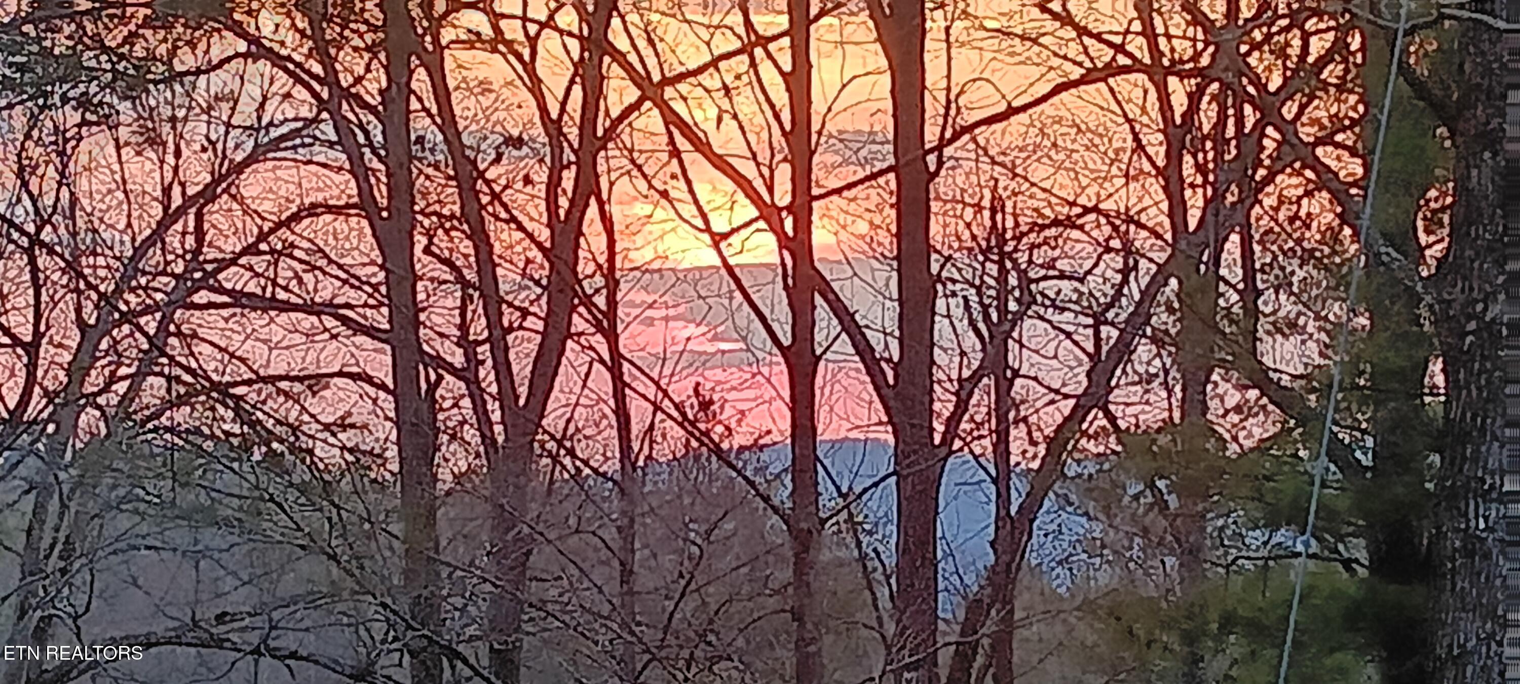 132 Sugar Maple Way Del Rio, TN 37727 - Photo 10 of 58 Amazing Sunsets