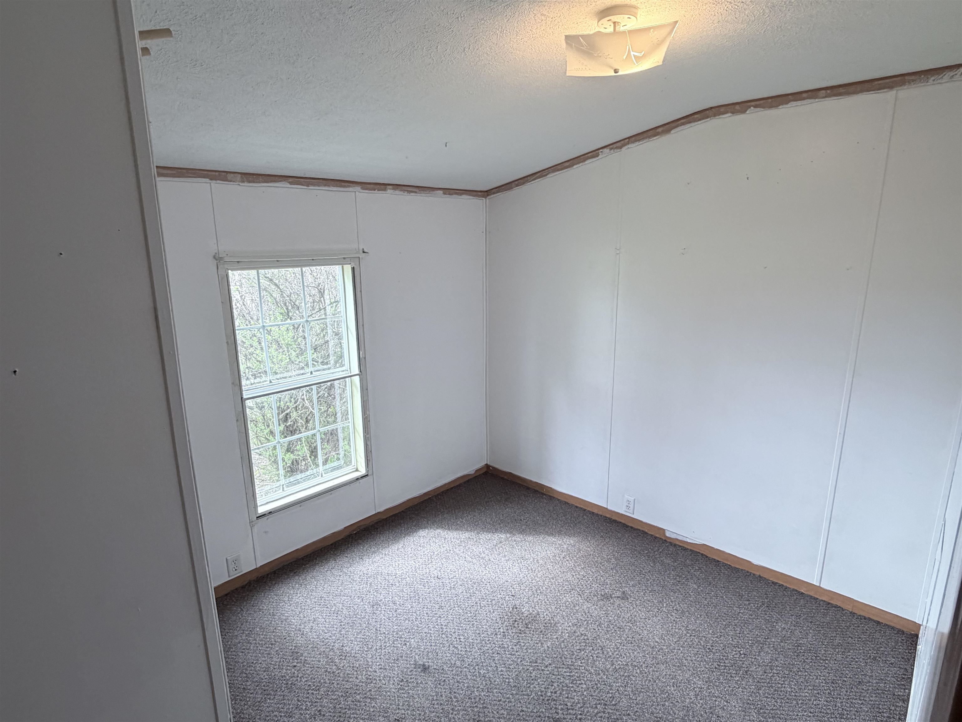6542 North Geneva Road Coleman, MI 48618 - Photo 7 of 26