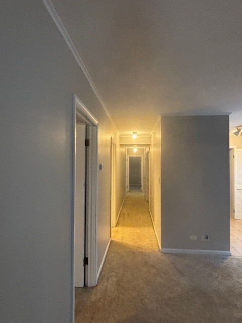 2223 Hawthorne Road Homewood, IL 60430 - Photo 12 of 28