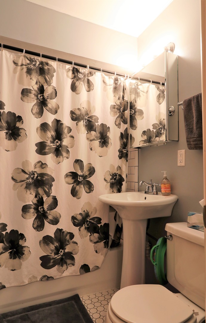 10607 Princess Avenue Chicago Ridge, IL 60415 - Photo 16 of 25 a bathroom with a sink a toilet and a shower curtain