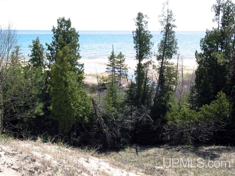 Tbd Michibay Road Manistique, MI 49854 - Photo 6 of 16