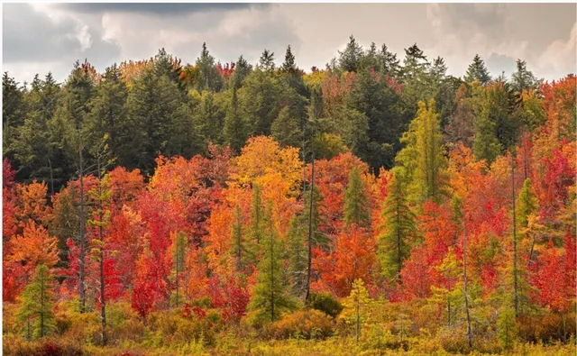 $865,000 | 258 Crawford Ridge Road, Unit 7, Carroll, NH 03595