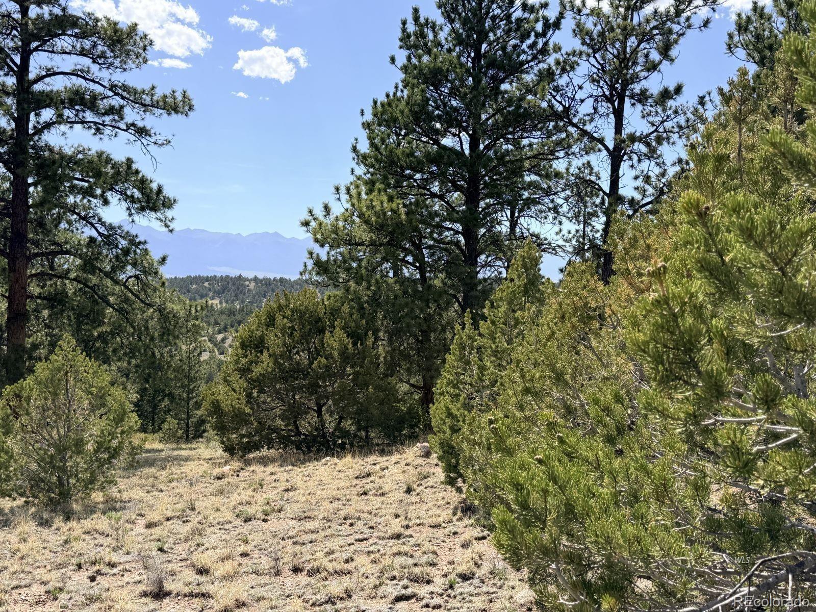0 Schulze Ranch Road Westcliffe, CO 81252 - Photo 29 of 33