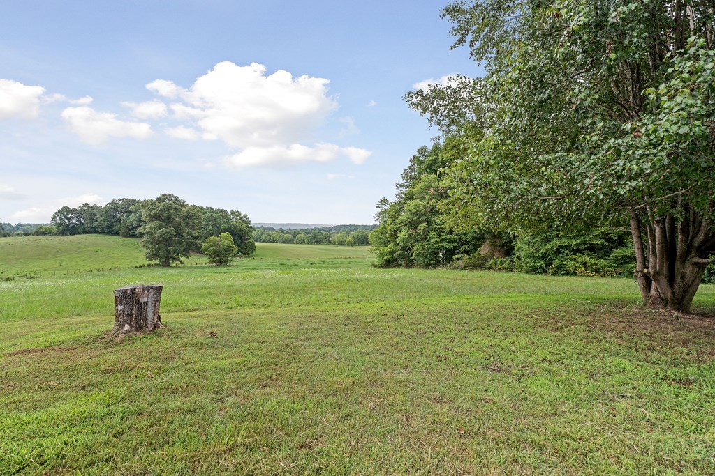334 Odell Road Sparta, TN 38583 - Photo 51 of 60 Gallery Image 51
