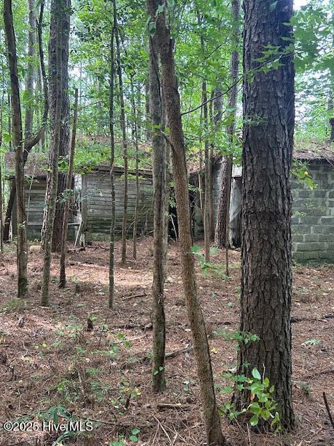 0 Gum Swamp Road Ayden, NC 28513 - Photo 3 of 4 Structure on property