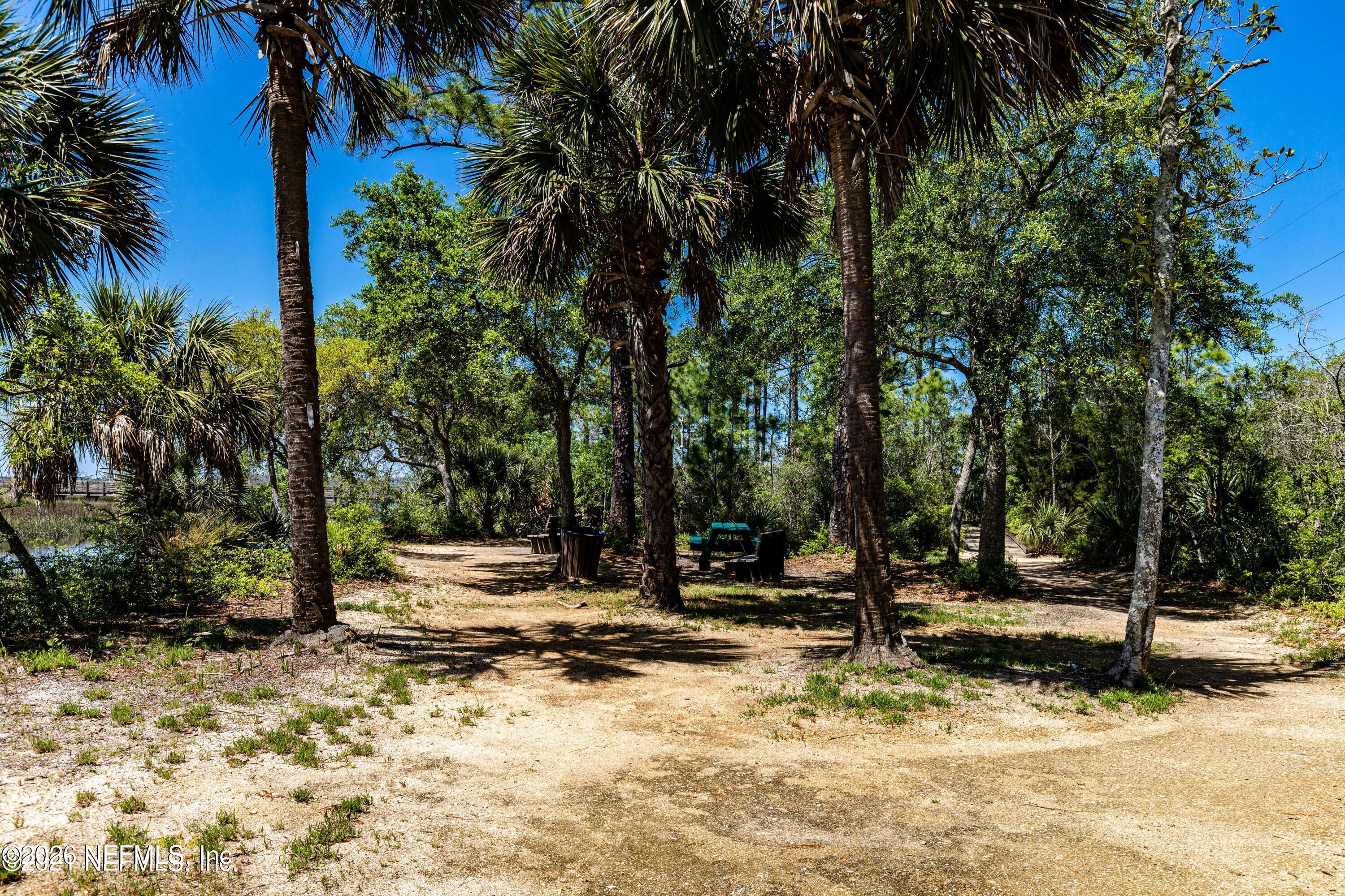 286 Main Street Atlantic Beach, FL 32233 - Photo 45 of 46 a view of a tree with a yard