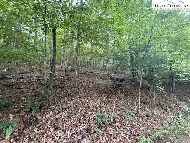 Winter Street Jefferson, NC 28640 - Photo 15 of 18 a view of a forest with trees in the background