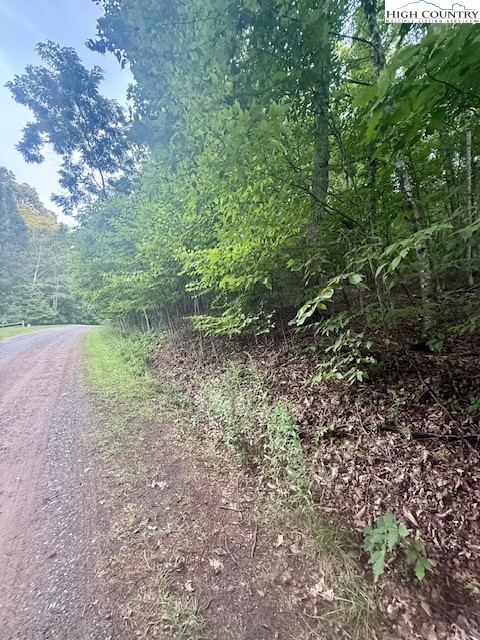 Winter Street Jefferson, NC 28640 - Photo 4 of 18 a view of a yard with a tree