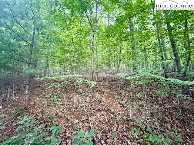Winter Street Jefferson, NC 28640 - Photo 9 of 18 a view of a large yard with lots of green space