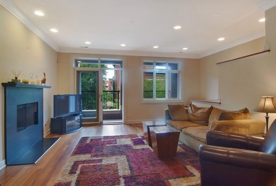 1037 West Monroe Street, Unit 2 Chicago, IL 60607 - Photo 2 of 12 a living room with furniture and a fireplace