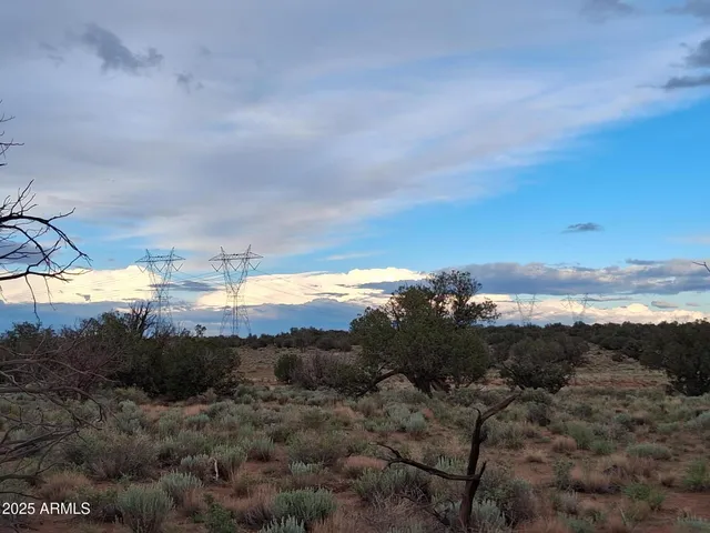 a view of a big yard of a house