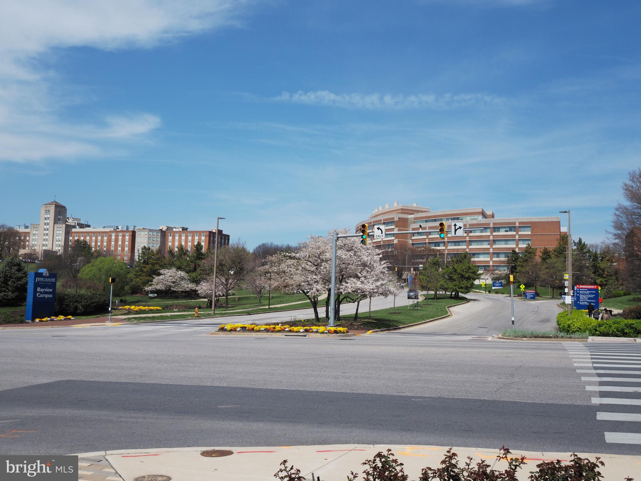 449 Anglesea Street Baltimore, MD 21224 - Photo 42 of 46