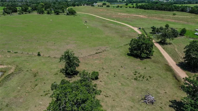 an aerial view of mountain with trees all around