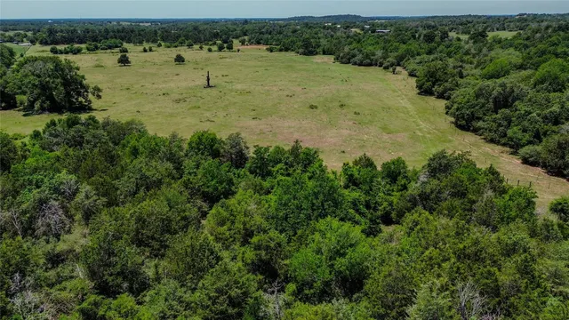 a view of a lake with a garden