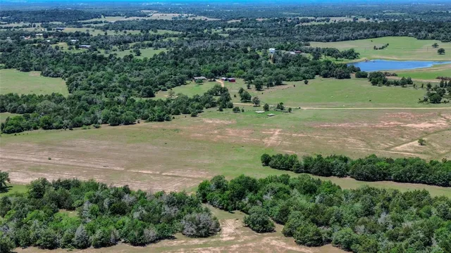 an aerial view of ocean with residential houses with outdoor space and trees