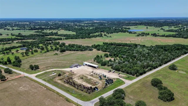 a view of a yard with plants and large trees