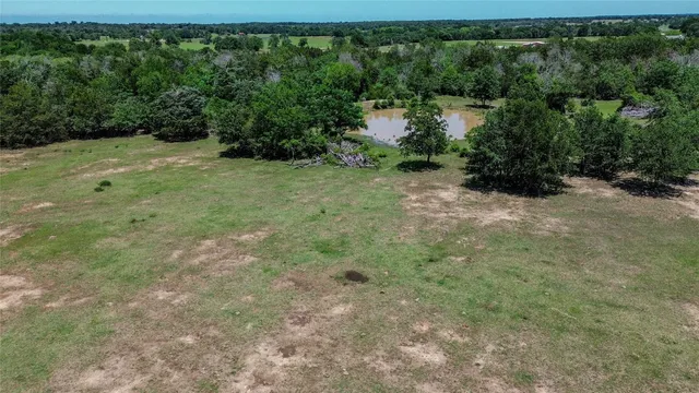 a view of a forest with a houses
