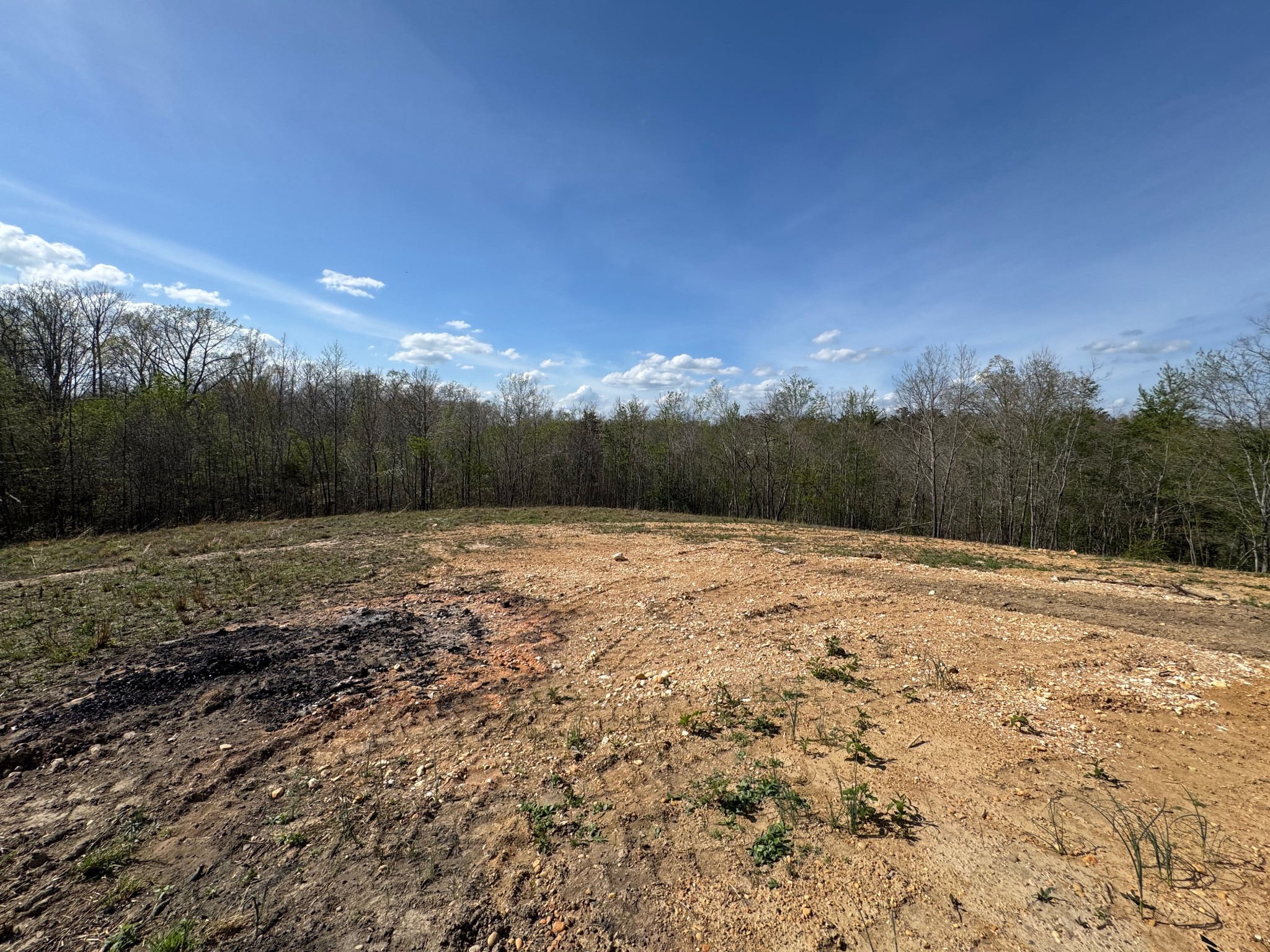 119 Pond View Lane Hohenwald, TN 38462 - Photo 3 of 9 a view of a yard