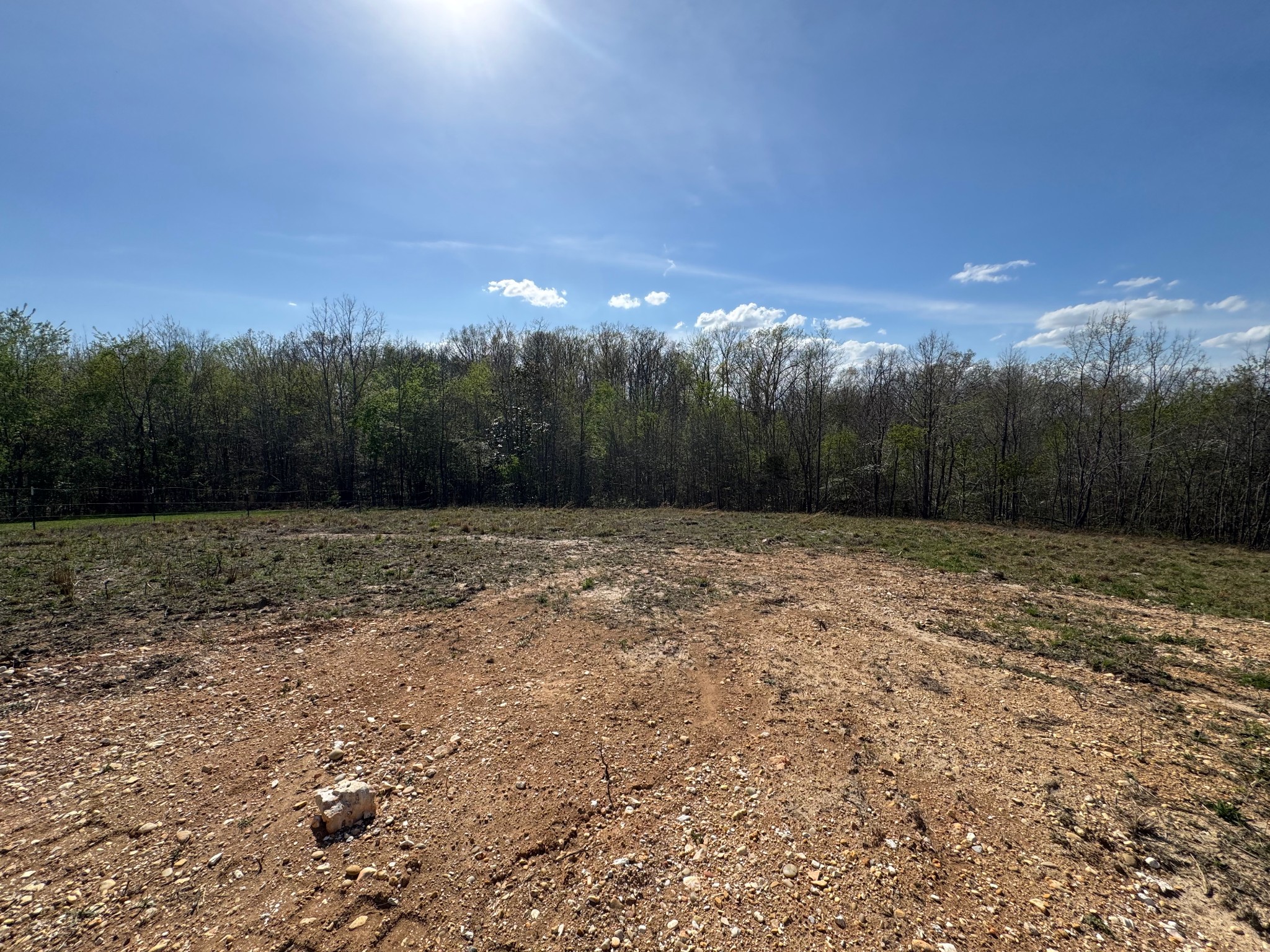 119 Pond View Lane Hohenwald, TN 38462 - Photo 4 of 9 a backyard of a house