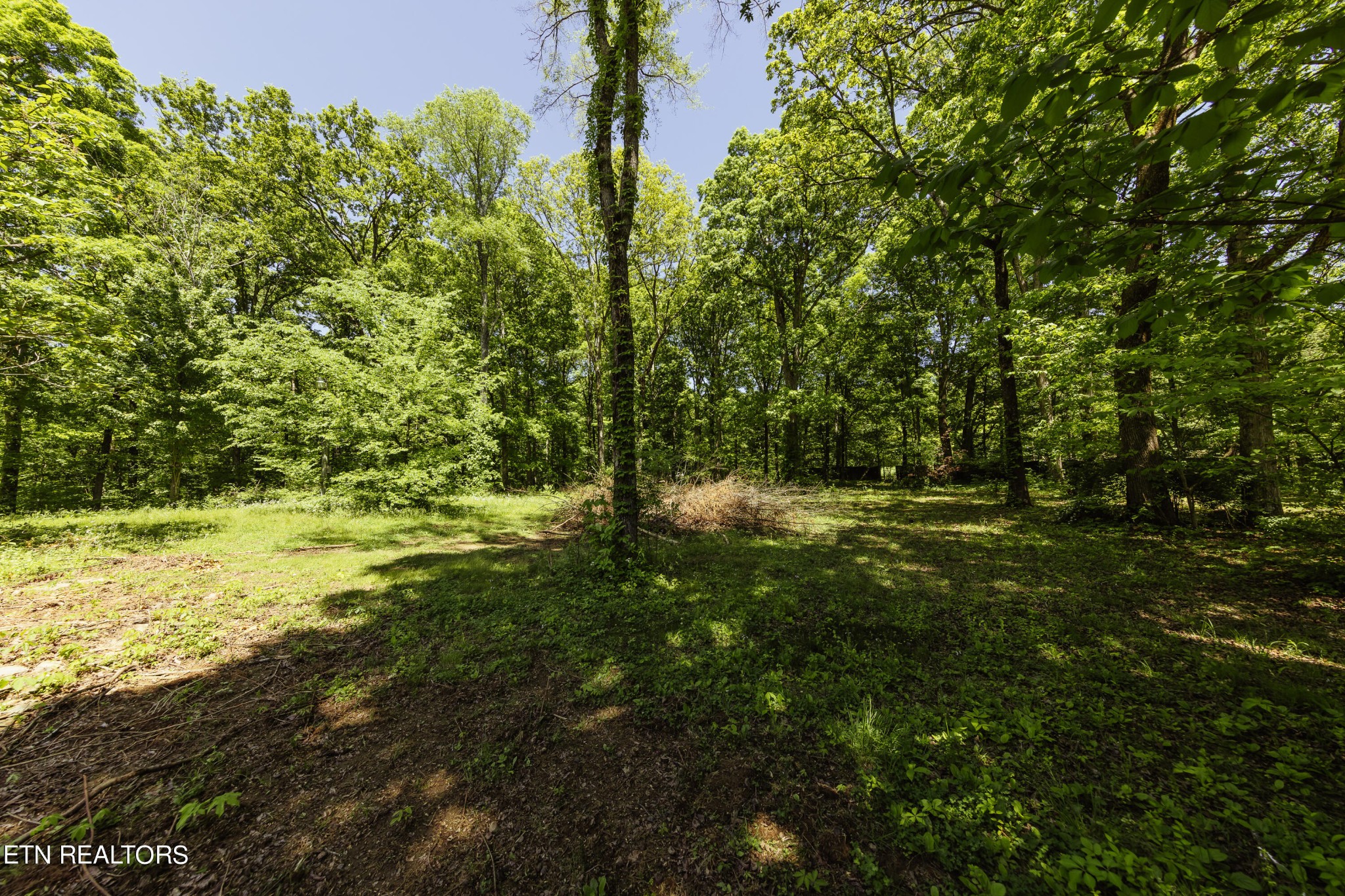 5937 Morganton Road Greenback, TN 37742 - Photo 14 of 47 Gallery Image 14