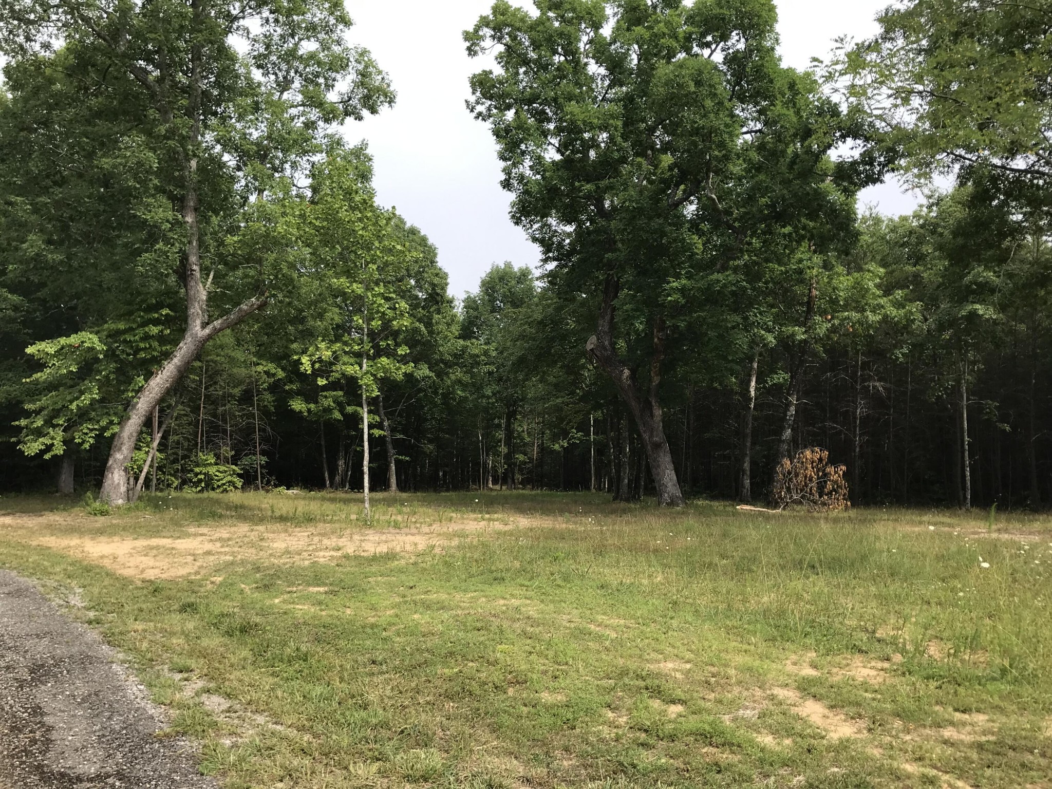 0 Quail Trail Dunlap, TN 37327 - Photo 34 of 36