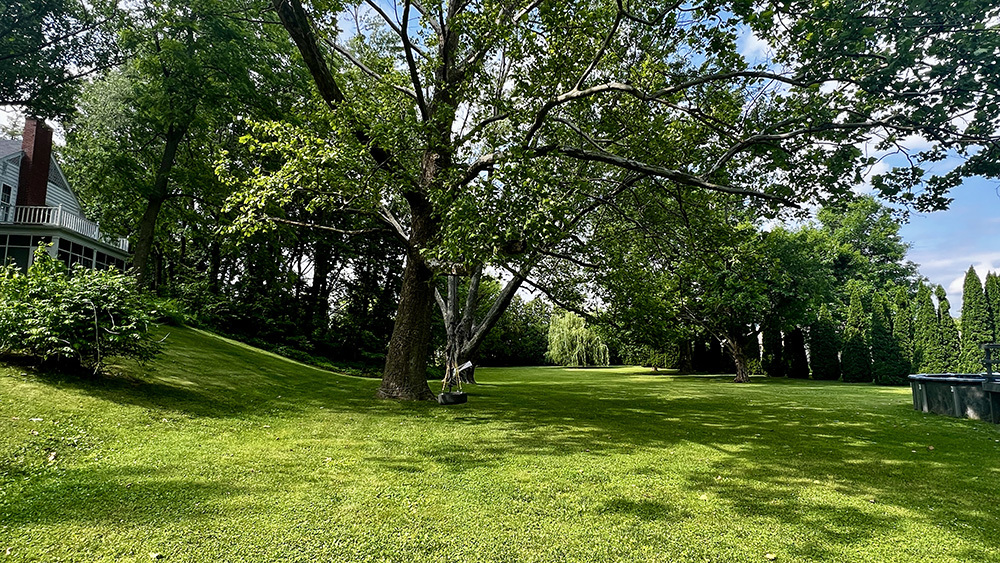644 Genesee Avenue Morrison, IL 61270 - Photo 44 of 52 a view of a tree in a park