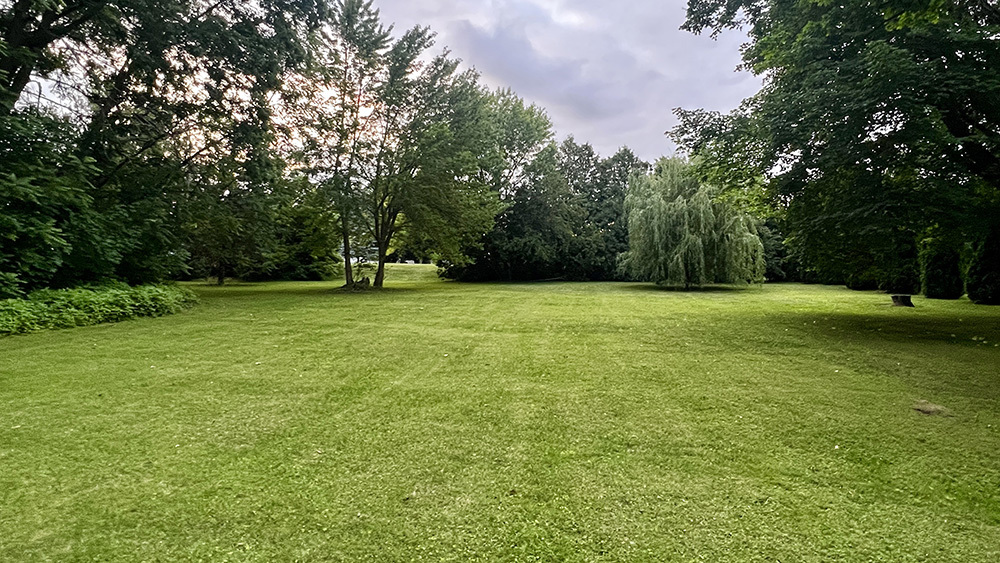 644 Genesee Avenue Morrison, IL 61270 - Photo 45 of 52 a view of a grassy field with trees in the background