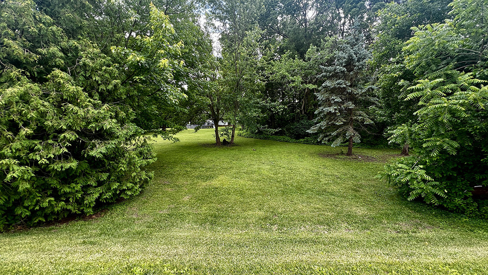 644 Genesee Avenue Morrison, IL 61270 - Photo 46 of 52