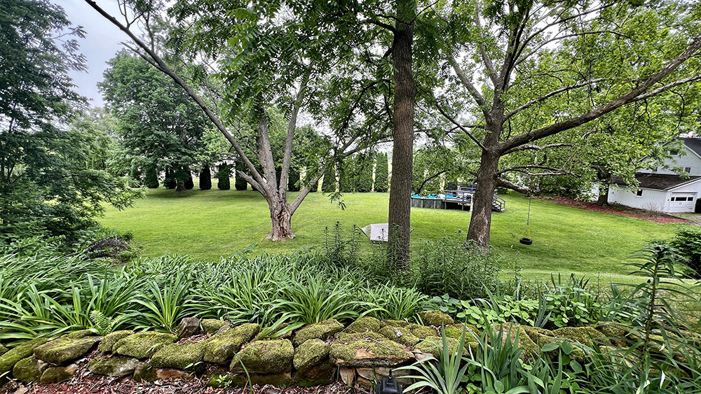 644 Genesee Avenue Morrison, IL 61270 - Photo 51 of 52 a view of a backyard with tree s