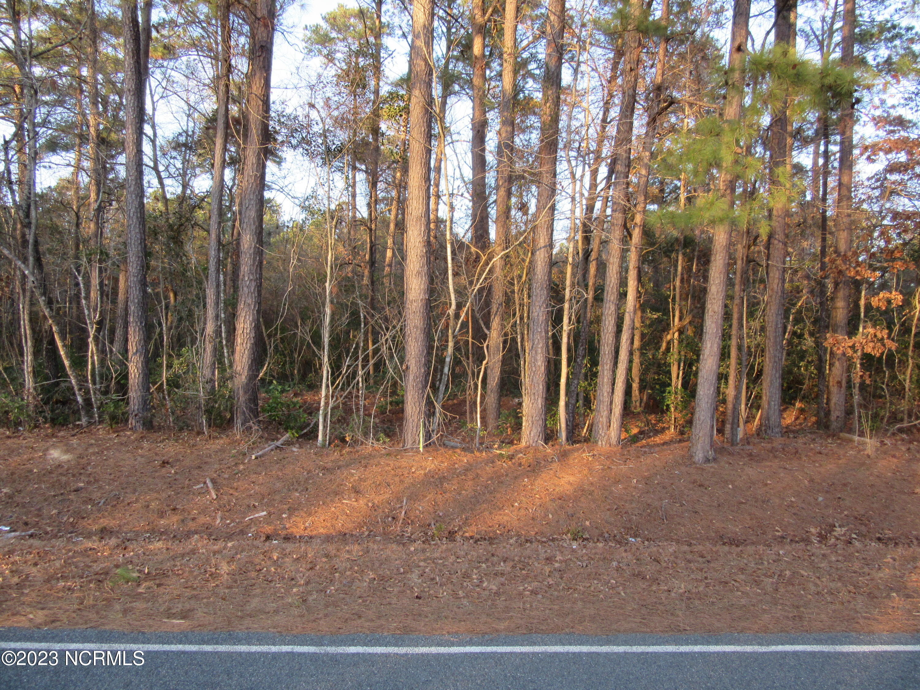 484 John Spaulding Road Whiteville, NC 28472 - Photo 2 of 2