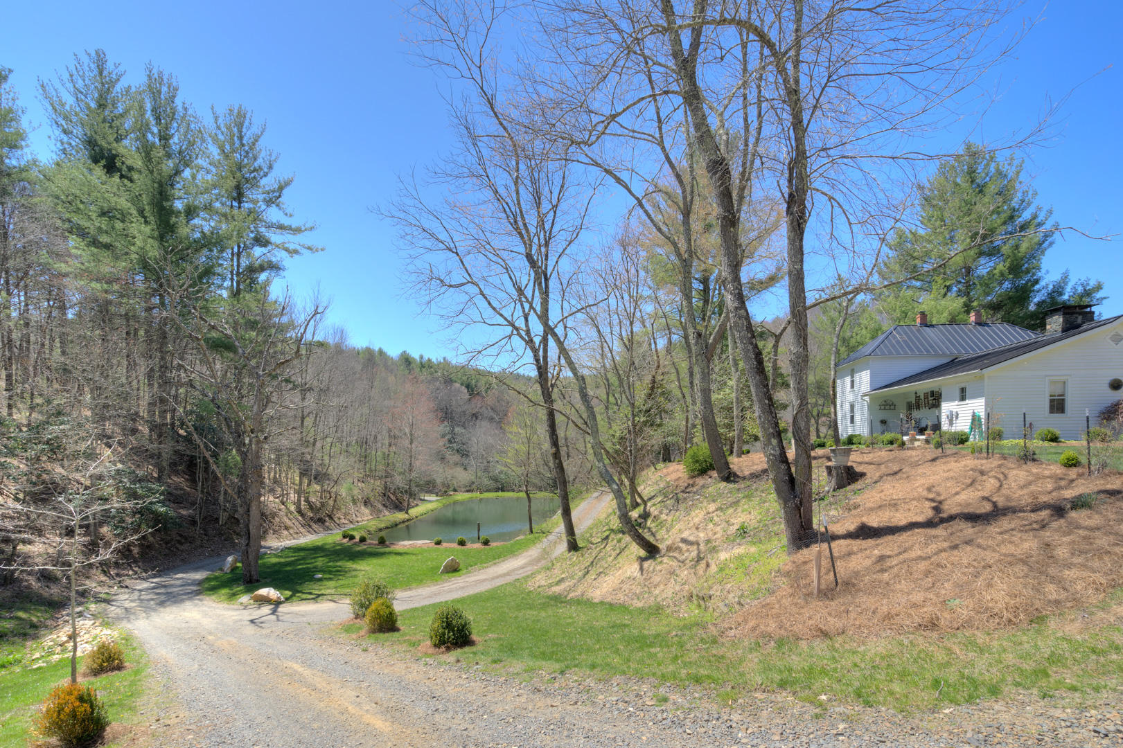 535 Weddle Road Willis, VA 24380 - Photo 15 of 104 535_WeddleRd_Web-10