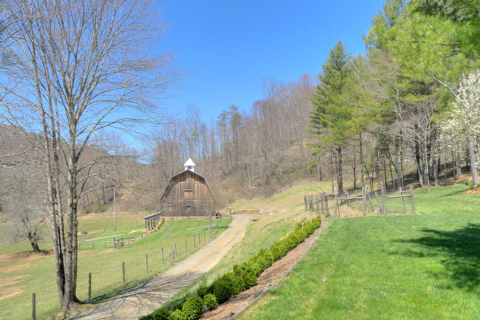 535 Weddle Road Willis, VA 24380 - Photo 21 of 104 535_WeddleRd_Web-16
