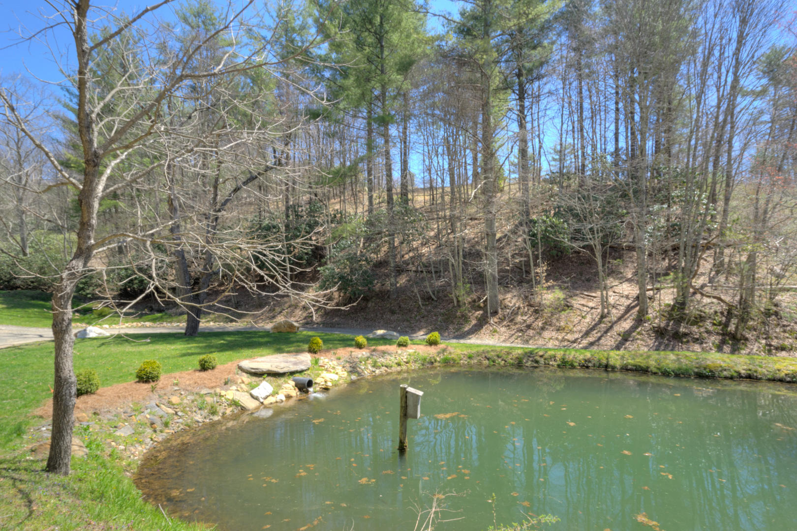 535 Weddle Road Willis, VA 24380 - Photo 26 of 104 535_WeddleRd_Web-22