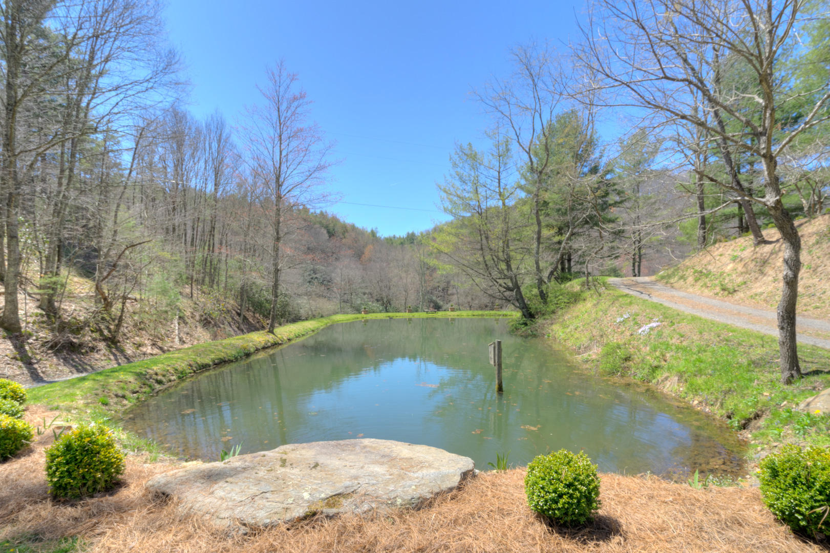 535 Weddle Road Willis, VA 24380 - Photo 27 of 104 535_WeddleRd_Web-23