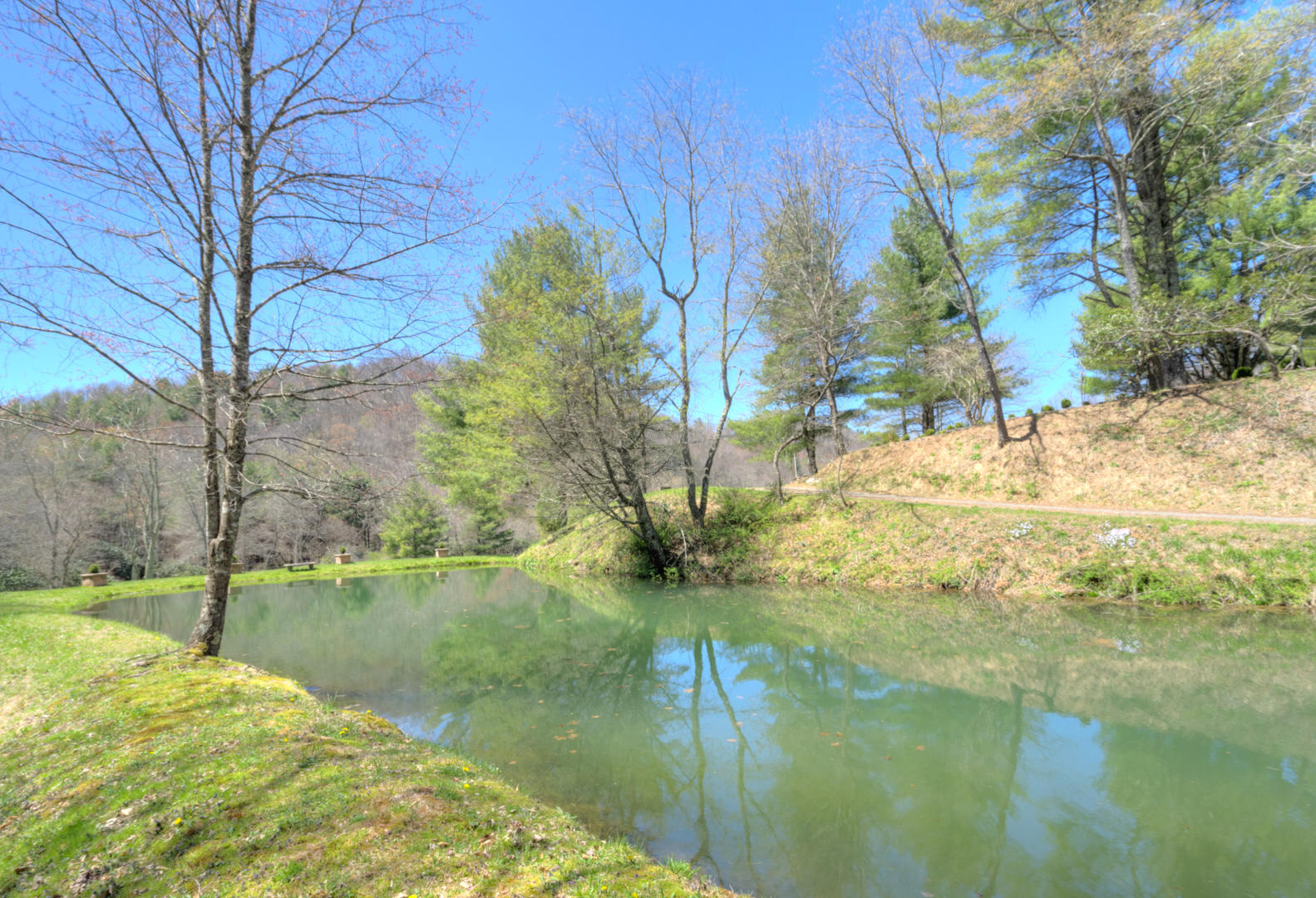 535 Weddle Road Willis, VA 24380 - Photo 29 of 104 535_WeddleRd_Web-25