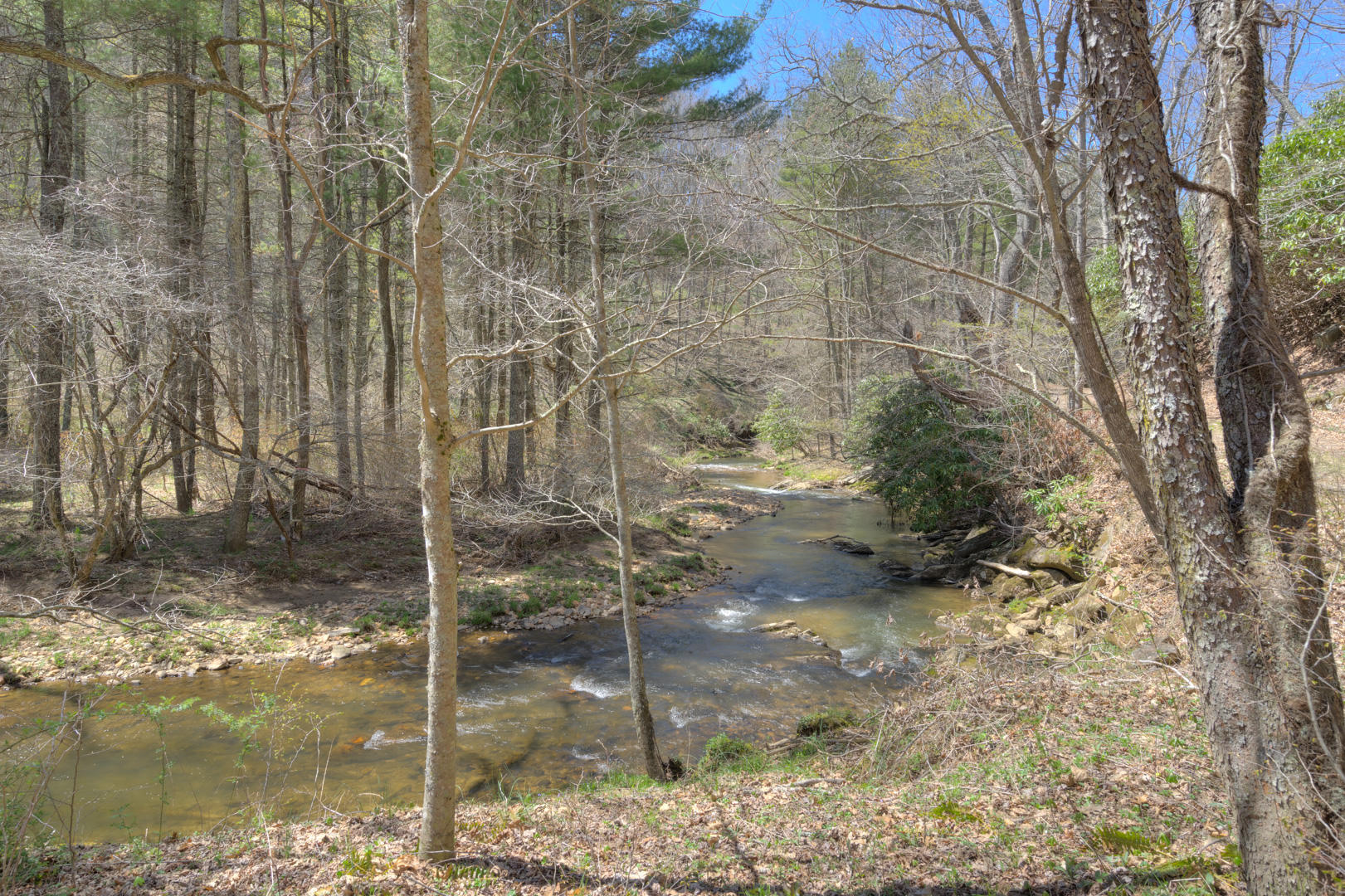 535 Weddle Road Willis, VA 24380 - Photo 78 of 104 535_WeddleRd_Web-76