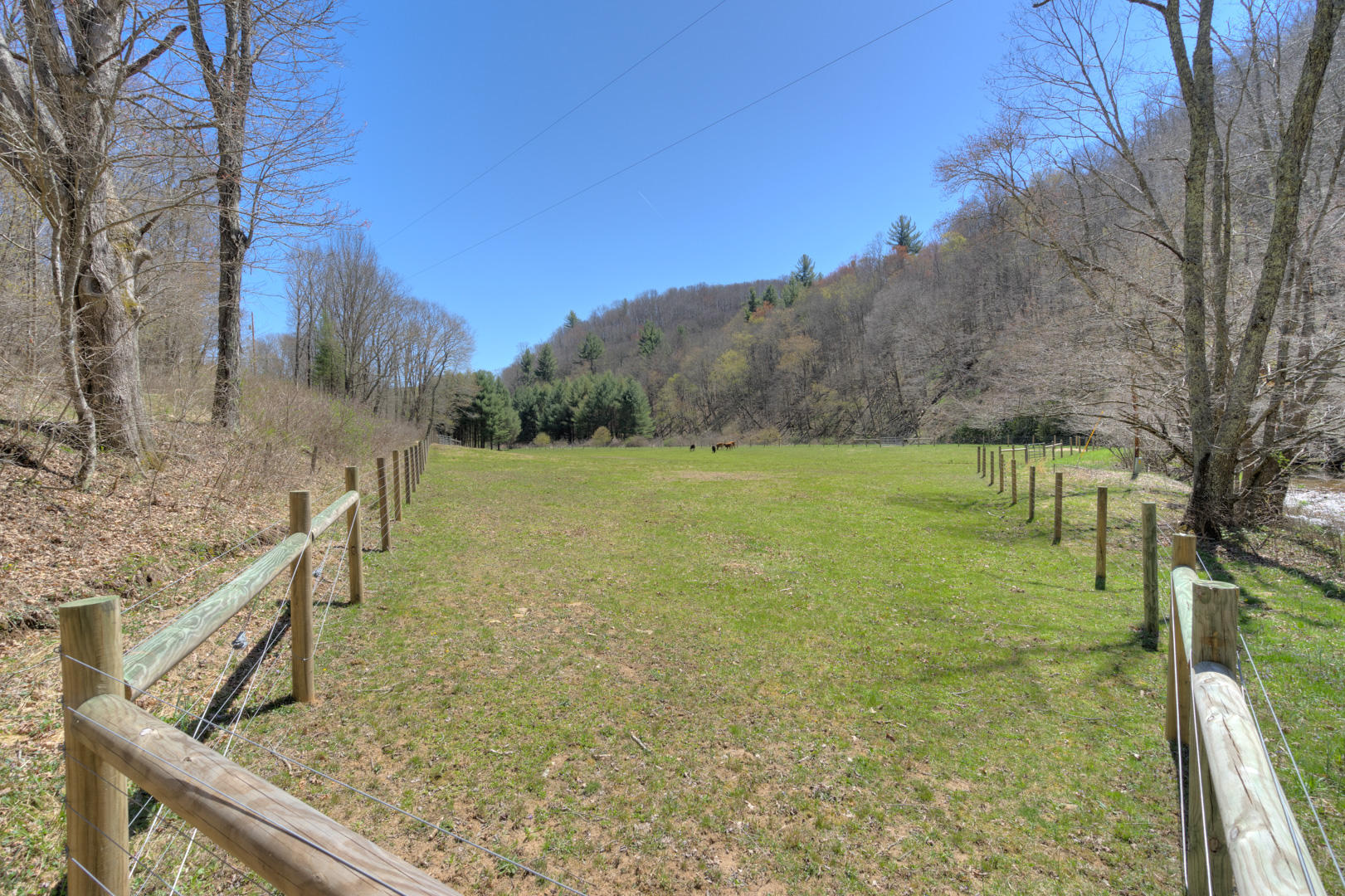535 Weddle Road Willis, VA 24380 - Photo 80 of 104 535_WeddleRd_Web-78