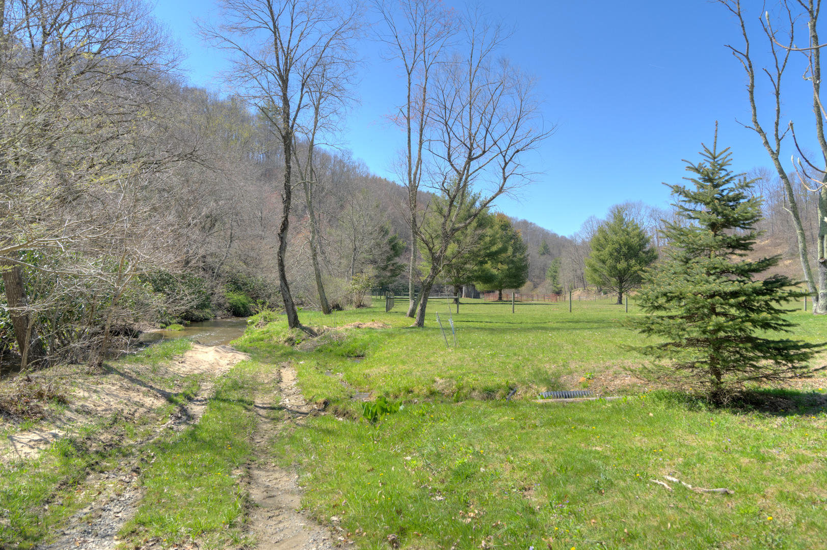 535 Weddle Road Willis, VA 24380 - Photo 9 of 104 535_WeddleRd_Web-4