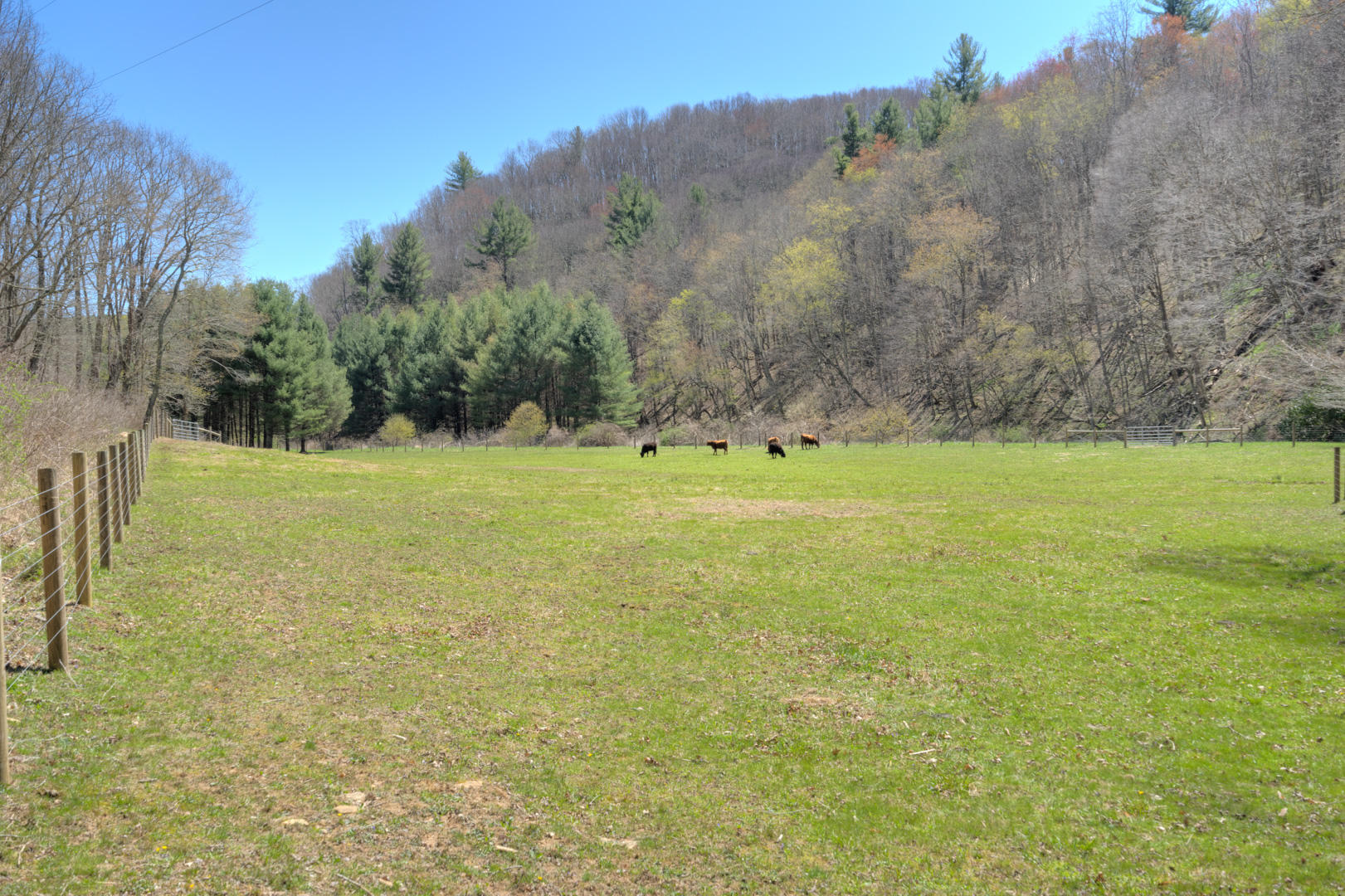 535 Weddle Road Willis, VA 24380 - Photo 81 of 104 535_WeddleRd_Web-79