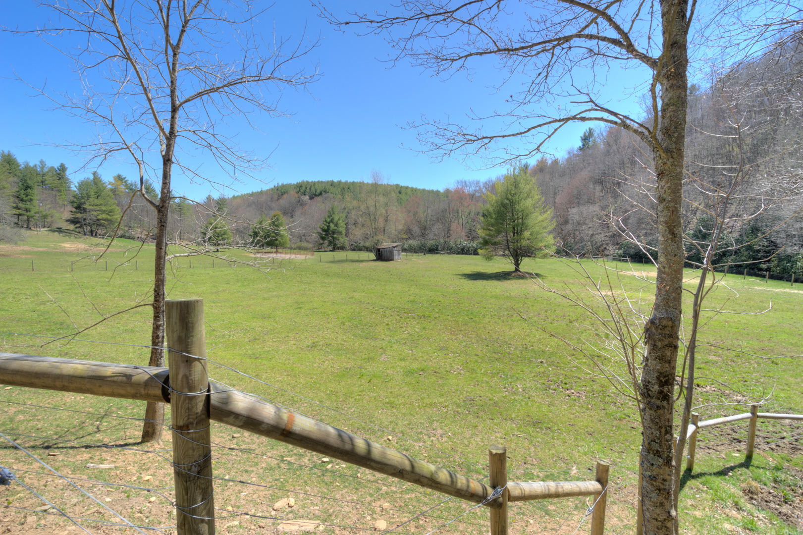 535 Weddle Road Willis, VA 24380 - Photo 85 of 104 535_WeddleRd_Web-84