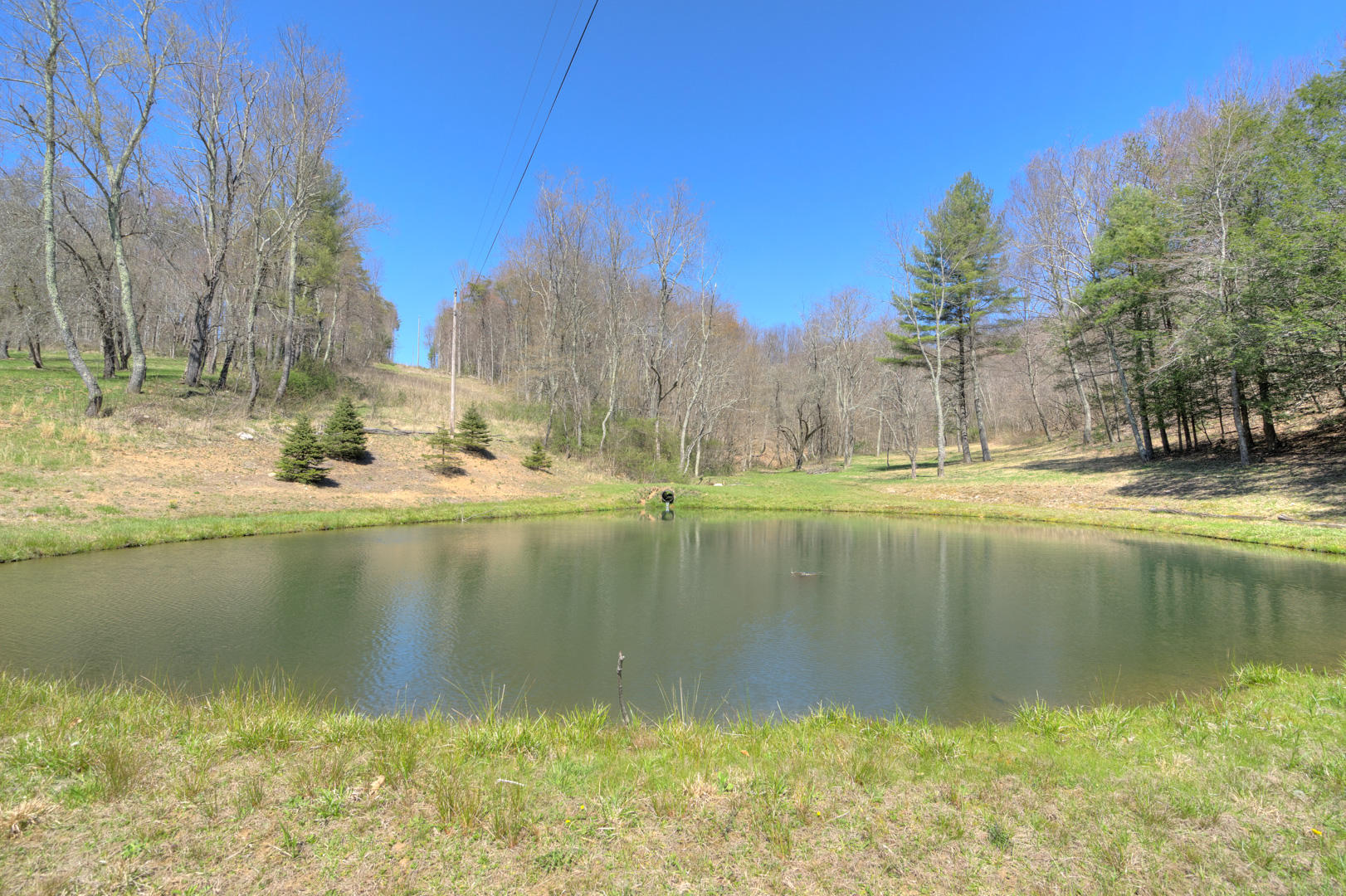 535 Weddle Road Willis, VA 24380 - Photo 89 of 104 535_WeddleRd_Web-88