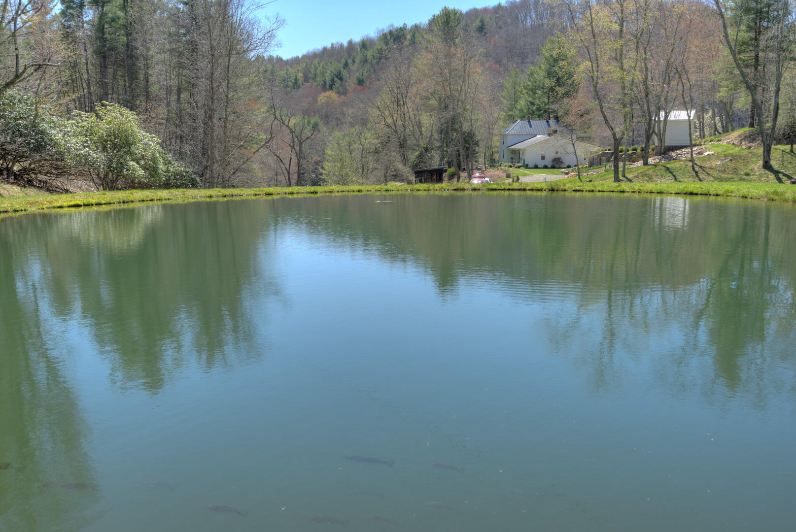 535 Weddle Road Willis, VA 24380 - Photo 90 of 104 535_WeddleRd_Web-90