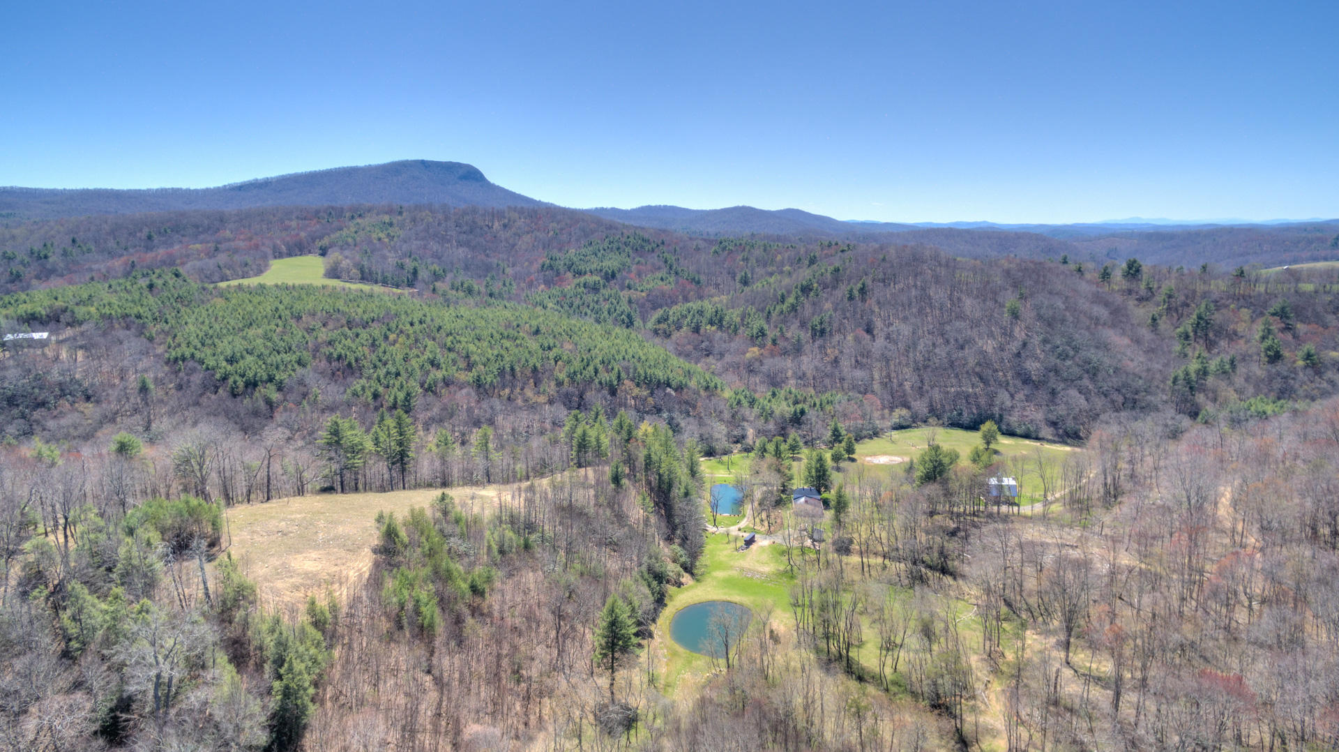 535 Weddle Road Willis, VA 24380 - Photo 95 of 104 535_WeddleRd_Web-95