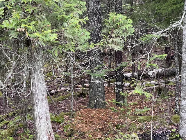 $104,999 | Lot #10 North Road, Lamoine, ME 04605