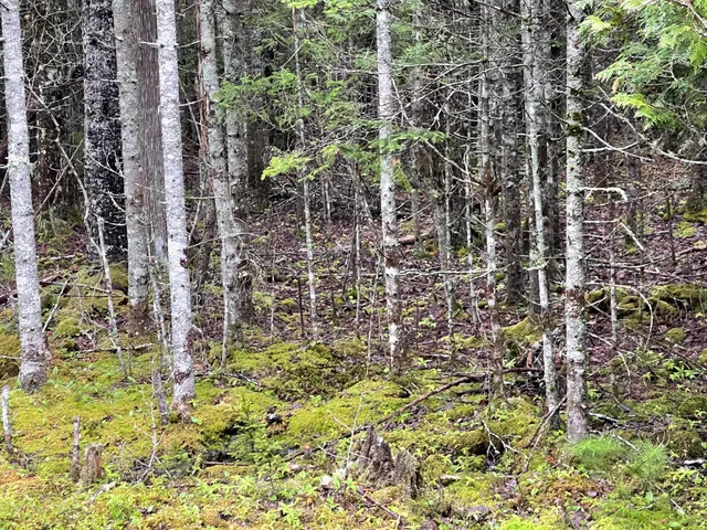 $104,999 | Lot #10 North Road, Lamoine, ME 04605