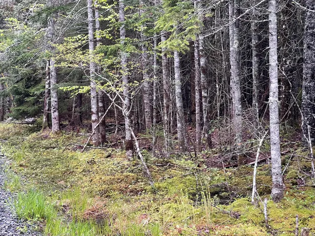 $104,999 | Lot #10 North Road, Lamoine, ME 04605