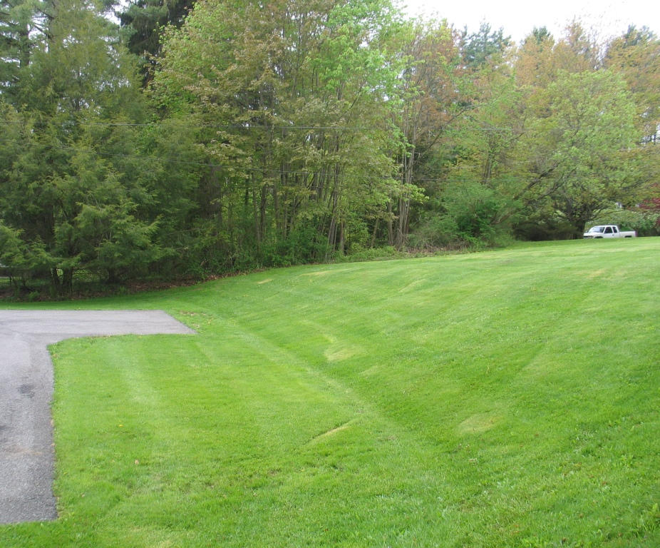 277 Syndicate Road Williamstown, MA 01267 - Photo 18 of 19 Yard